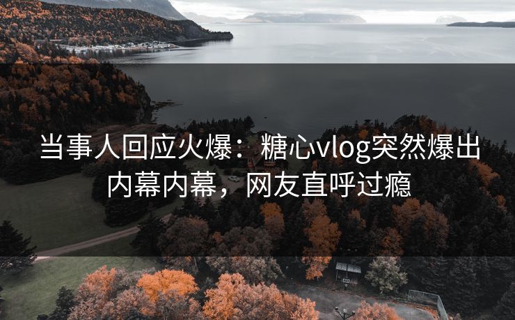 当事人回应火爆：糖心vlog突然爆出内幕内幕，网友直呼过瘾