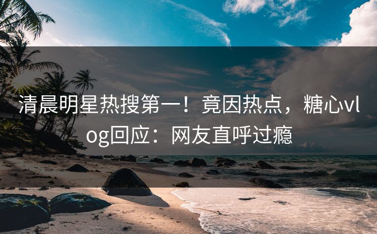 清晨明星热搜第一！竟因热点，糖心vlog回应：网友直呼过瘾