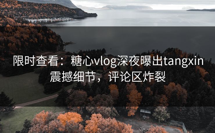限时查看：糖心vlog深夜曝出tangxin震撼细节，评论区炸裂