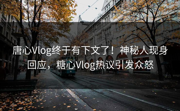 唐心Vlog终于有下文了！神秘人现身回应，糖心Vlog热议引发众怒