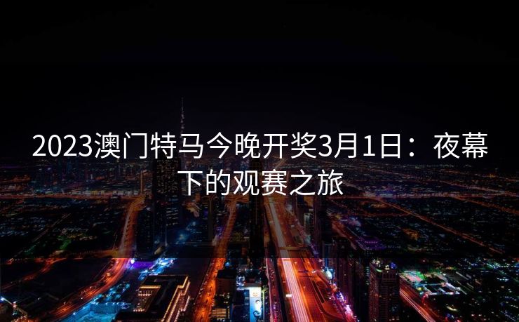 2023澳门特马今晚开奖3月1日：夜幕下的观赛之旅