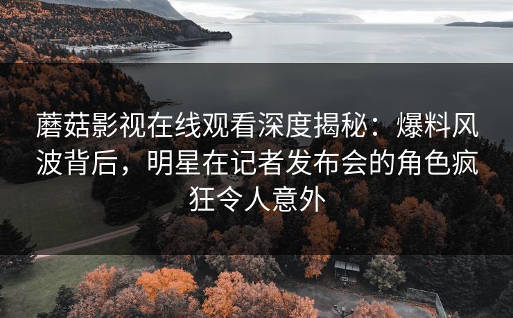 蘑菇影视在线观看深度揭秘：爆料风波背后，明星在记者发布会的角色疯狂令人意外