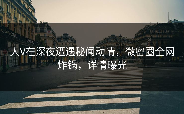 大V在深夜遭遇秘闻动情，微密圈全网炸锅，详情曝光