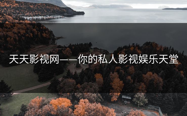 天天影视网——你的私人影视娱乐天堂